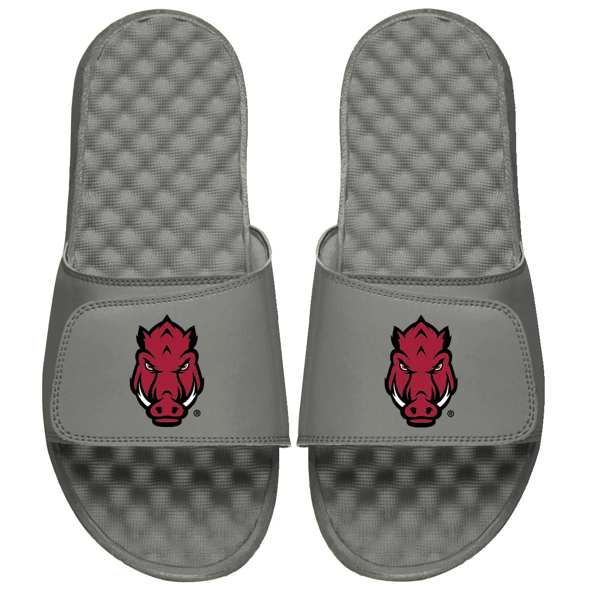 Arkansas Razorbacks Secondary Logo