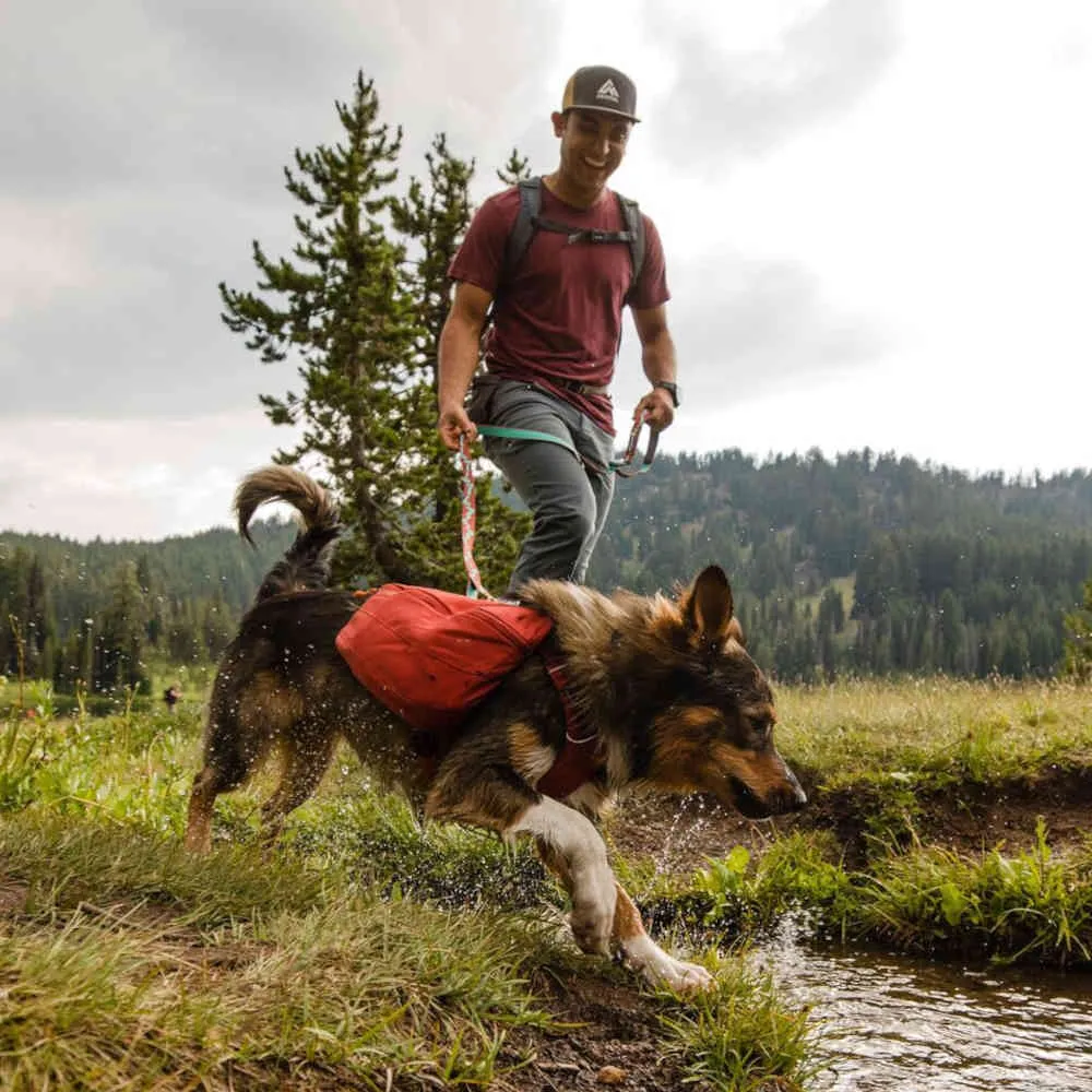 Ruffwear Front Range Day Pack No-Pull Handled Dog Harness (Blue Moon)