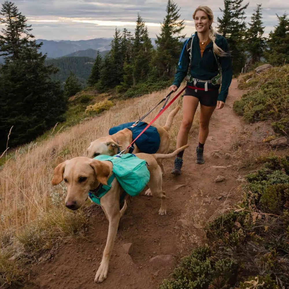 Ruffwear Front Range Day Pack No-Pull Handled Dog Harness (Blue Moon)