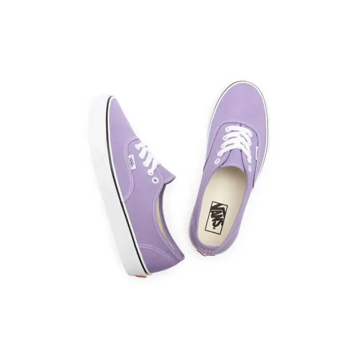 Vans Authentic VN0A5HZS9GD1 Men's Chalk Violet Skateboarding Shoes HS3836