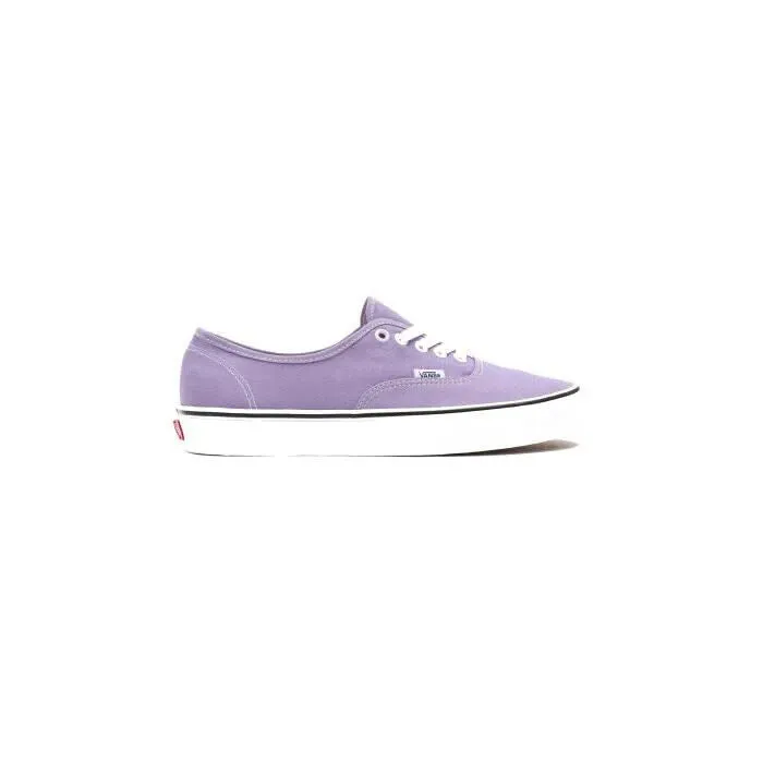 Vans Authentic VN0A5HZS9GD1 Men's Chalk Violet Skateboarding Shoes HS3836