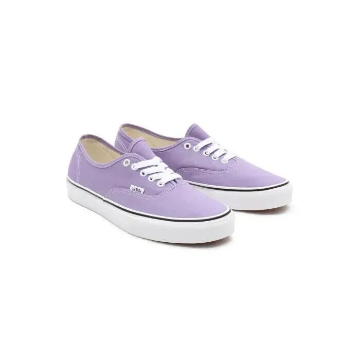 Vans Authentic VN0A5HZS9GD1 Men's Chalk Violet Skateboarding Shoes HS3836